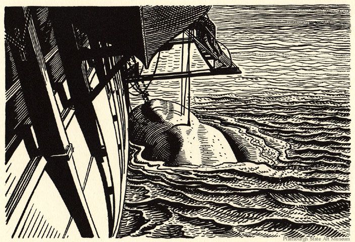 an illustration of the side of a boat. the top of Moby dick reaches the surface, stabbed by the boat's harpoons