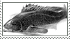 a stamp: an illustration of a blackfish