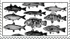 a stamp: multiple illustrated fish from an enciclopedia